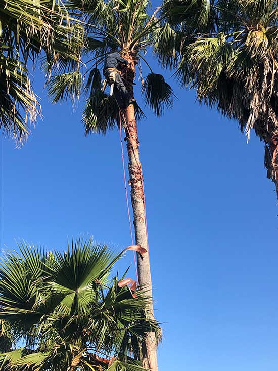 Chipco Environment Show case 1