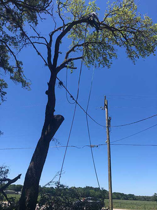 Chipco Environment Show case 2