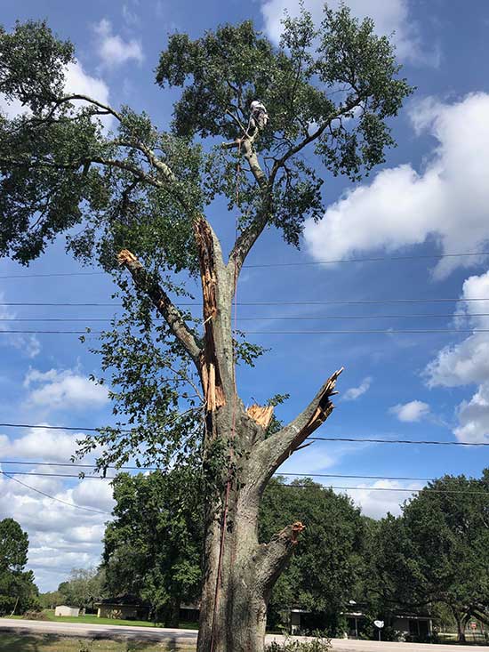 Chipco Environment Show case 3