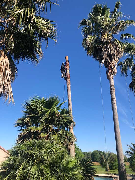 Chipco Environment Show case 4