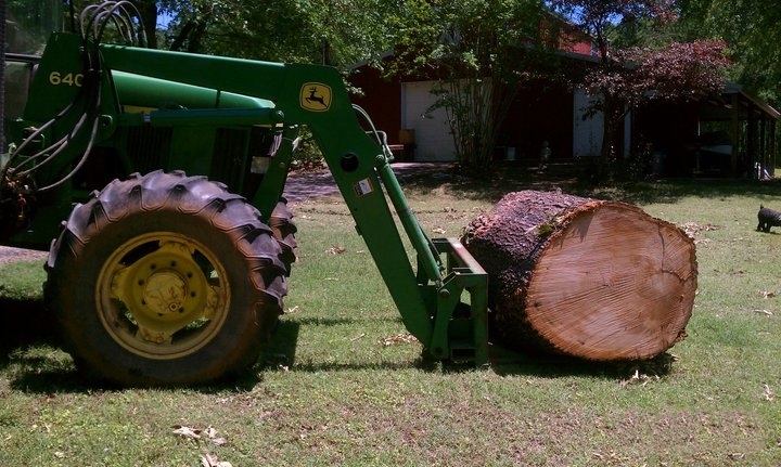 Chipco Big Tree Jobs Tree Trimming & Tree Removal Rosenberg Richmond Houston Sugar Land